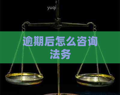 逾期后如何咨询法务 一份实用指南